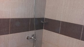 Bani_011.jpg