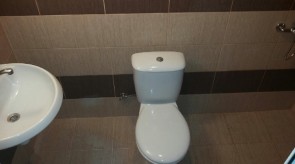Bani_015.jpg