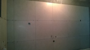 WP_20150218_001.jpg