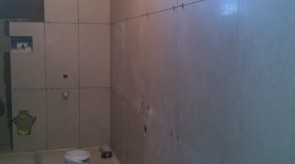 WP_20150218_002.jpg