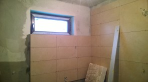 WP_20150307_004.jpg