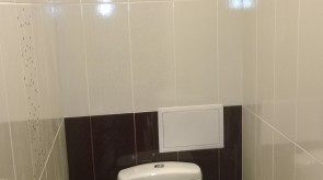 WP_20150310_005.jpg