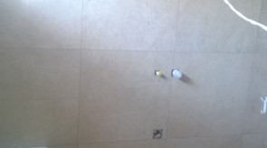 WP_20150416_004.jpg