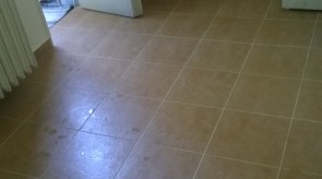 WP_20150624_003.jpg