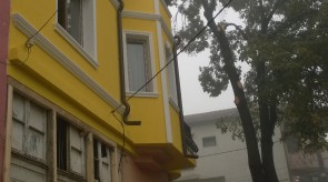 WP_20151016_009.jpg