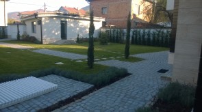WP_20151103_003.jpg
