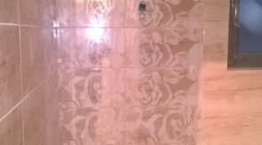WP_20151127_004.jpg